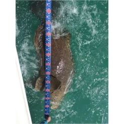 Cuda 120" Tape Measure -Fishing Equipment 18135 inuse