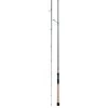 Daiwa Back Bay Saltwater Spinning Rod
