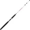 Berkley Big Game Saltwater Spinning Rod -Fishing Equipment Berkley 1121419