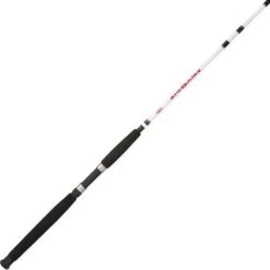 Berkley Big Game Saltwater Spinning Rod