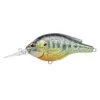 LiveTarget Pumpkinseed Flat-Side Roundbill Lure -Fishing Equipment KOPPS57S LiveTarget Pumpkinseed Flat Side Roundbil