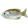 LiveTarget Sunfish Hollow Body Lure 1 LiveTarget Sunfish Hollow Body Lure -Fishing Equipment KOPSFH75T LiveTarget Sunfish Hollow Body Lure