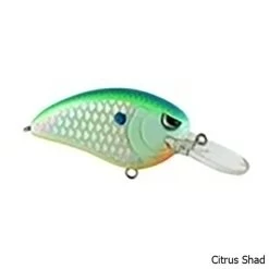 Spro Little John MD 50 Crankbait Lure -Fishing Equipment Little John MD 50 Crankbait Lure Citrus