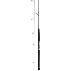 Daiwa Proteus Boat Saltwater Spinning Rod