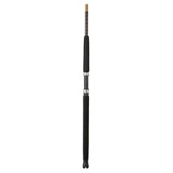 Shakespeare Ugly Stik Tiger Saltwater Spinning Rod