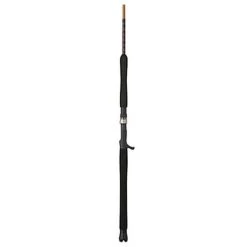 Shakespeare Ugly Stik Tiger Elite Jig Saltwater Casting Rod