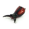 Molix Supernato Beetle Lure -Fishing Equipment Supernato Beetle Lure