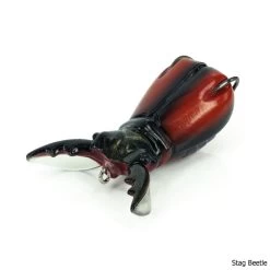 Molix Supernato Beetle Lure 17 Molix Supernato Beetle Lure -Fishing Equipment Supernato Beetle Lure Stag