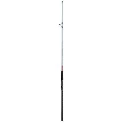 Daiwa Team Daiwa Surf Spinning Rod