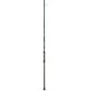 St. Croix Triumph Surf Spinning Rod
